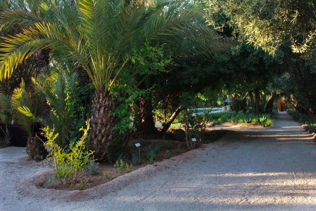 Jnane Tamsna Hotel Marrakesh Luaran gambar