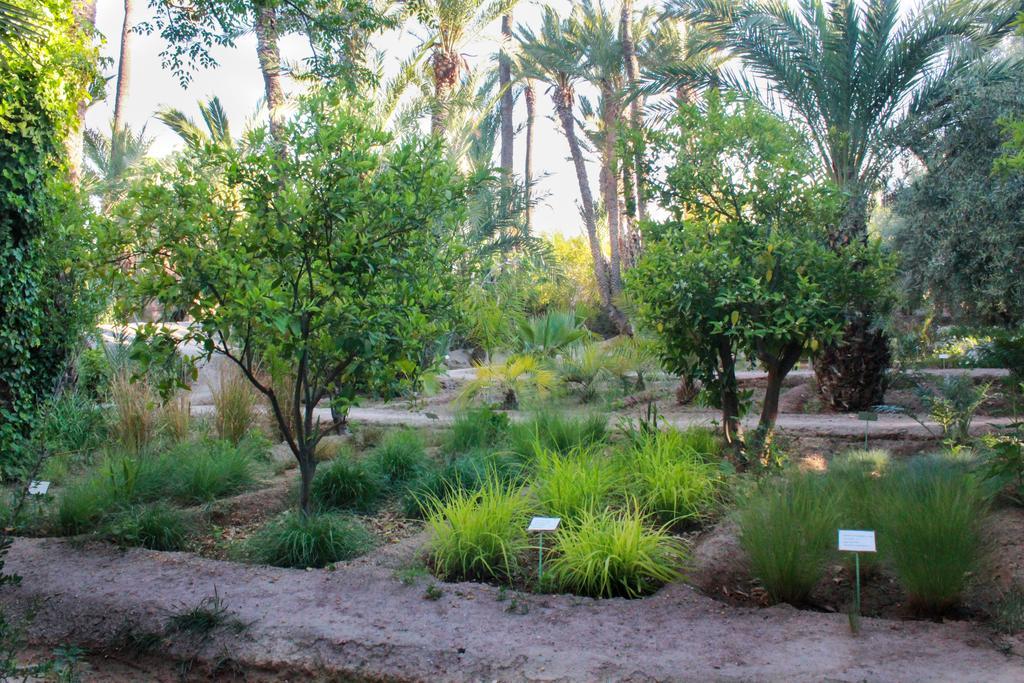 Jnane Tamsna Hotel Marrakesh Luaran gambar