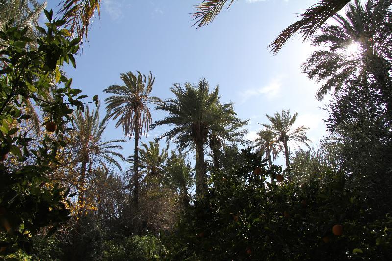 Jnane Tamsna Hotel Marrakesh Luaran gambar