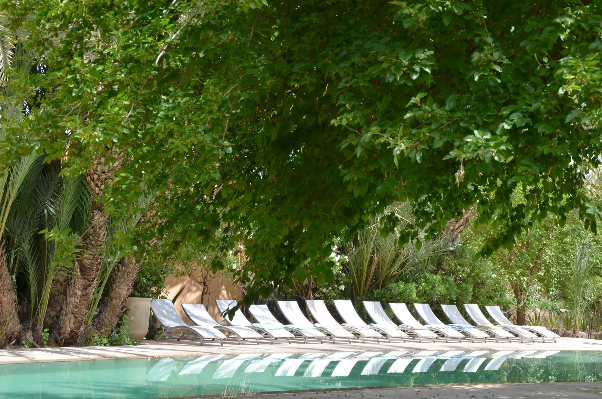 Jnane Tamsna Hotel Marrakesh Luaran gambar