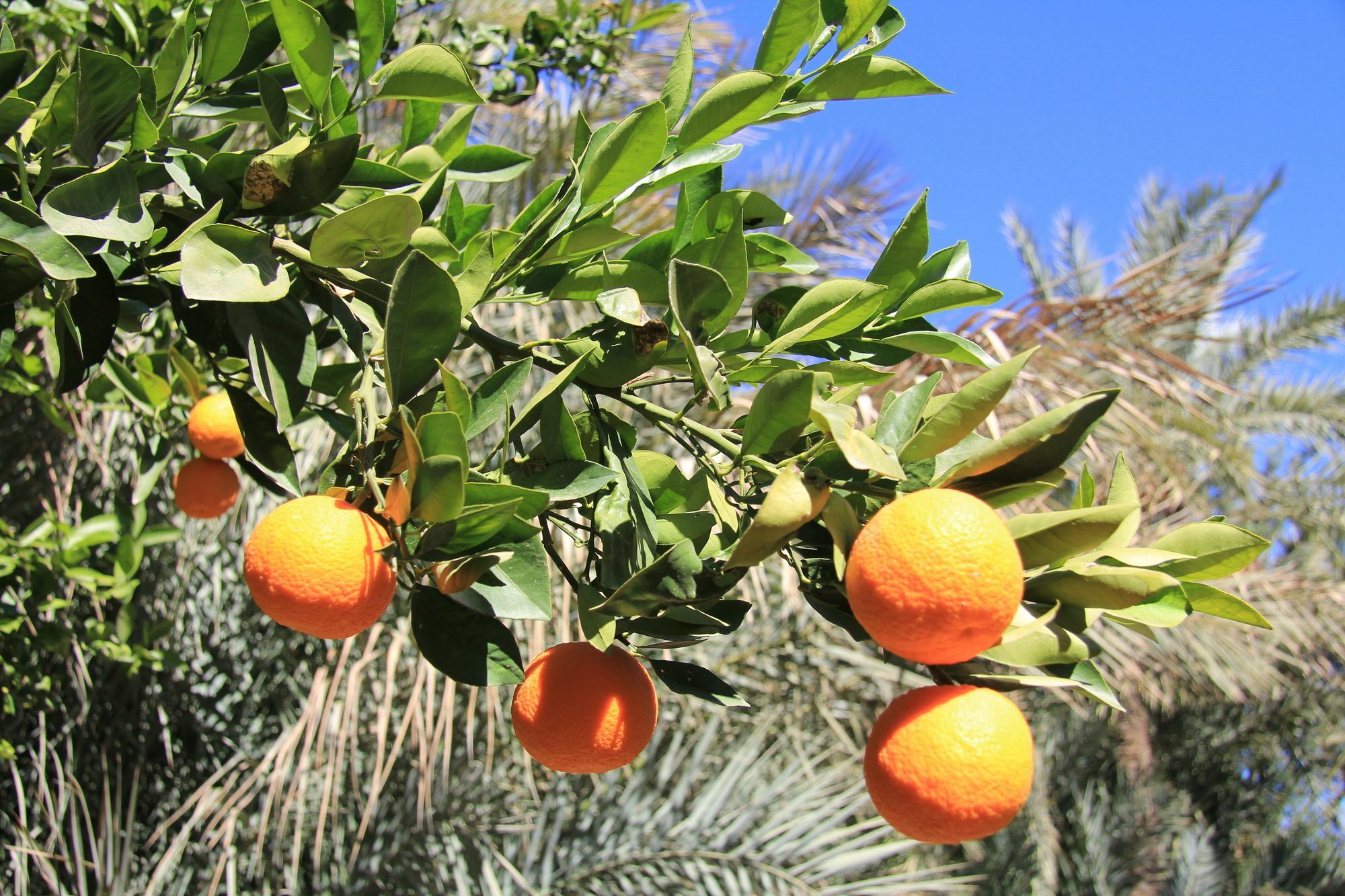 Jnane Tamsna Hotel Marrakesh Luaran gambar